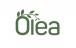 Olea